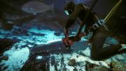 Underwater chainsaws were used to make some of the largest pieces more manageable when removed